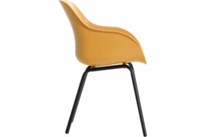 21670872 11670872 2 scaled